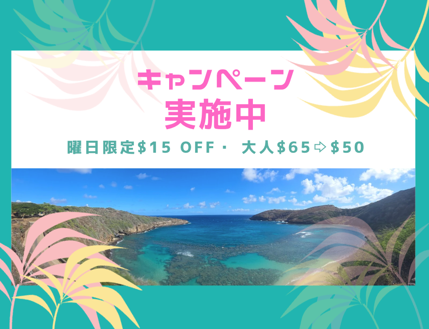 はなうまべ 公式入場券付きはロバーツハワイだけ】ハナウマ湾ツアー｜2026年から