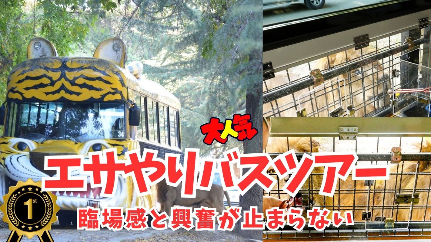 当日朝7時まで購入可】入園チケット＋エサやり体験バス | 群馬