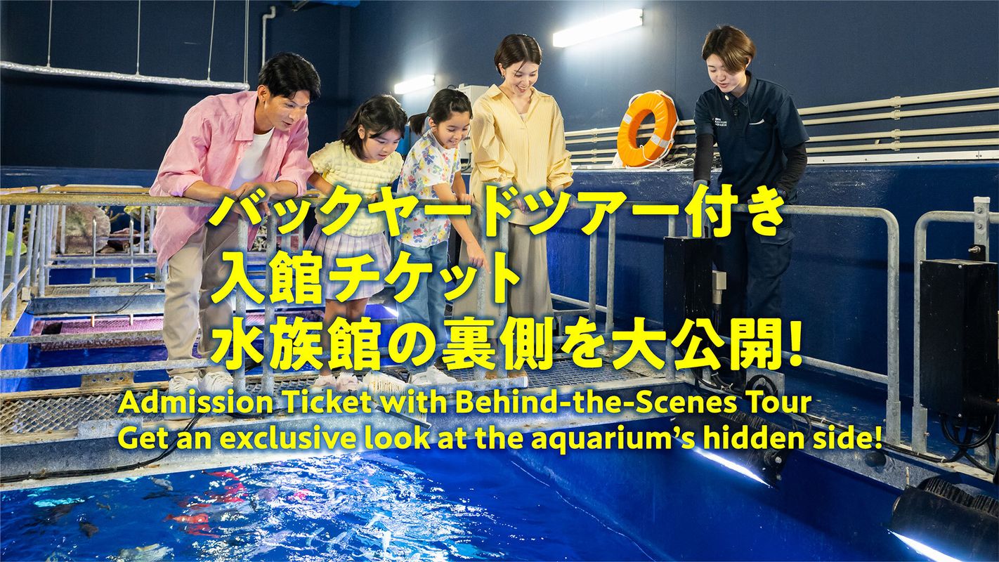 バックヤードツアー付き入館チケット🚩水族館の裏側を大公開！ | DMM