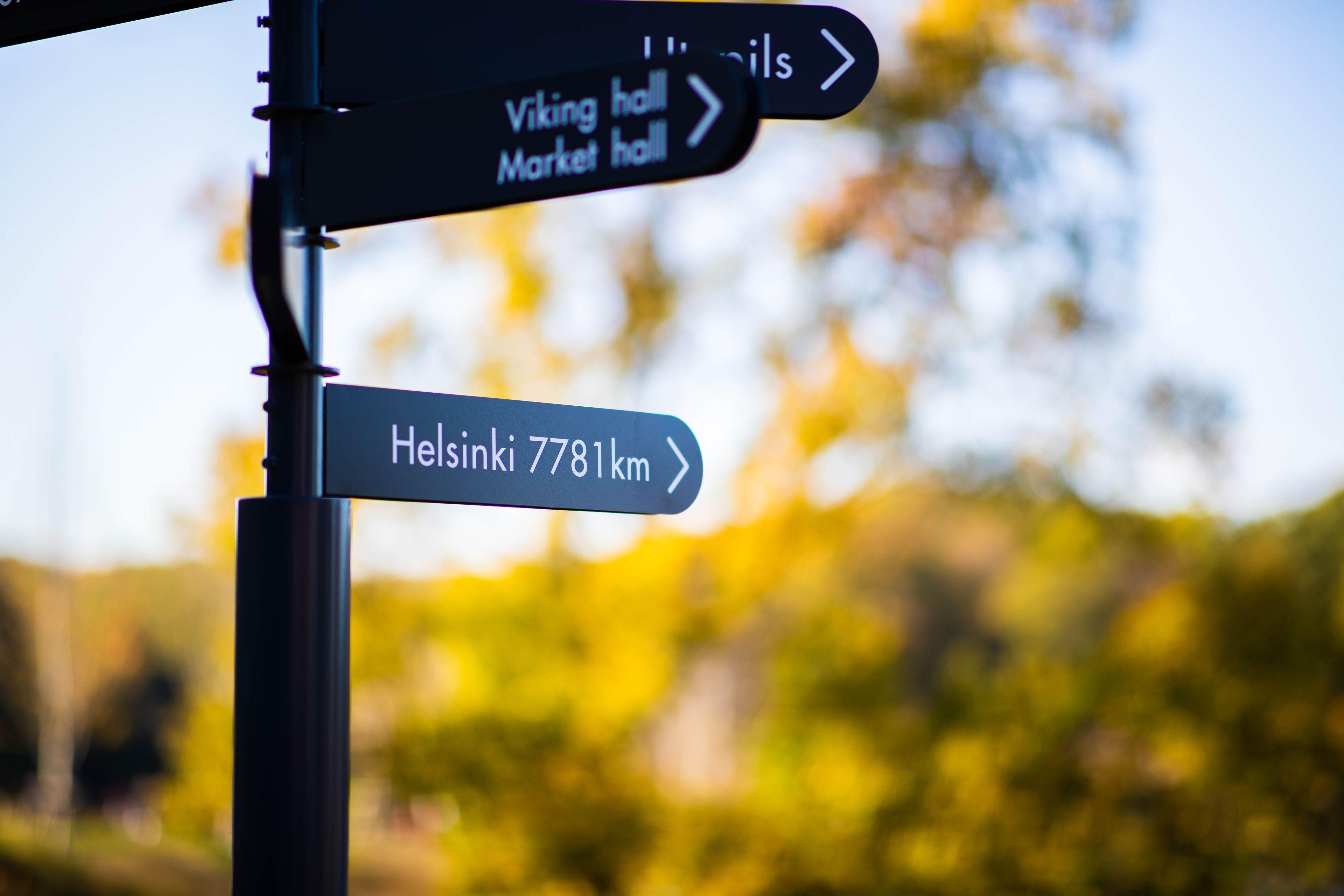 banner