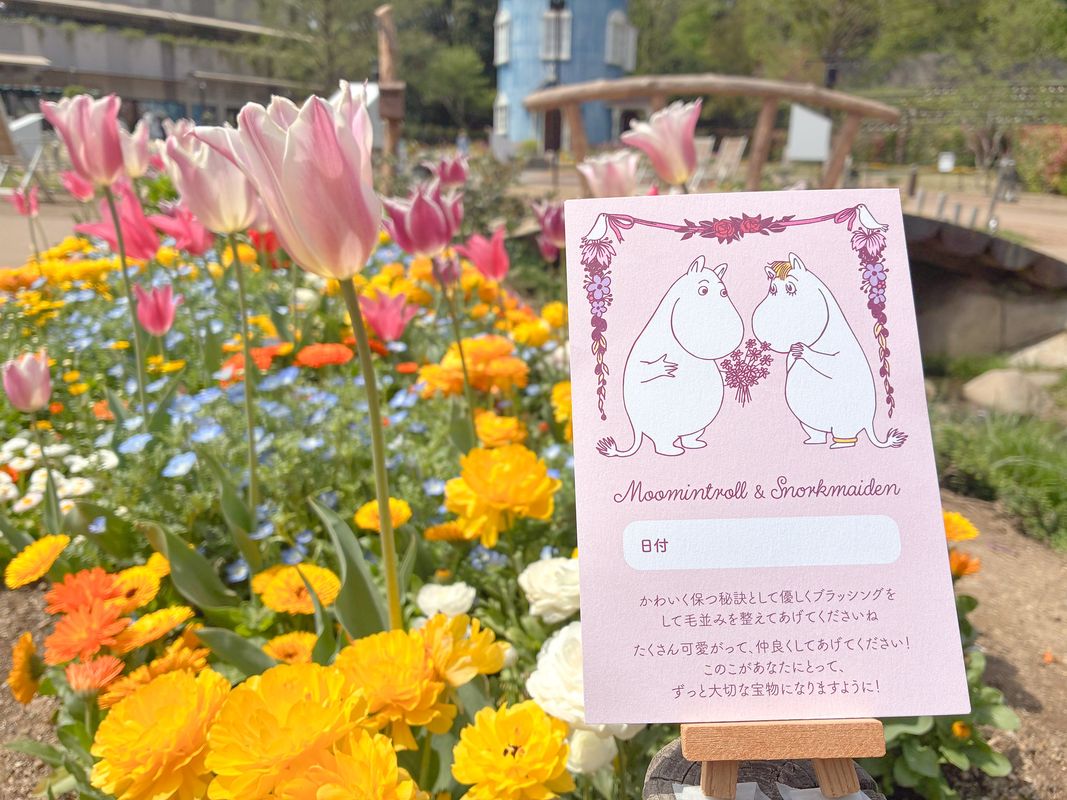 TODO