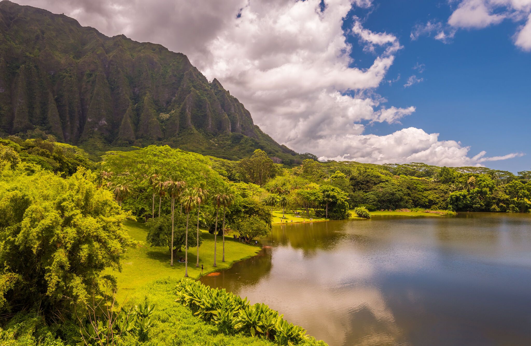 Hawaii Airport Shuttle & Island Tours
